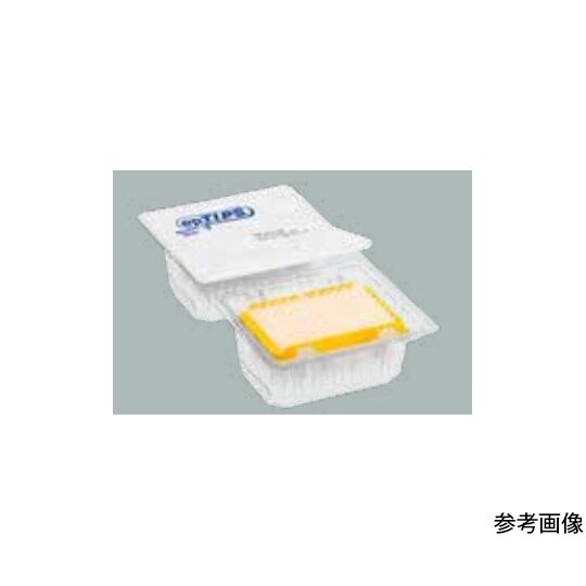 epT.I.P.S. Motion フィ