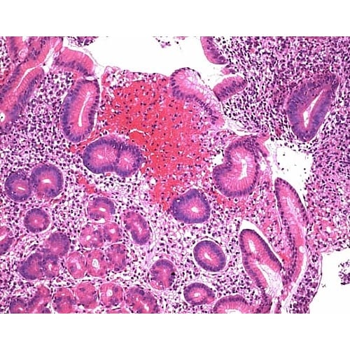 1.09249.0500 マイヤーヘマト