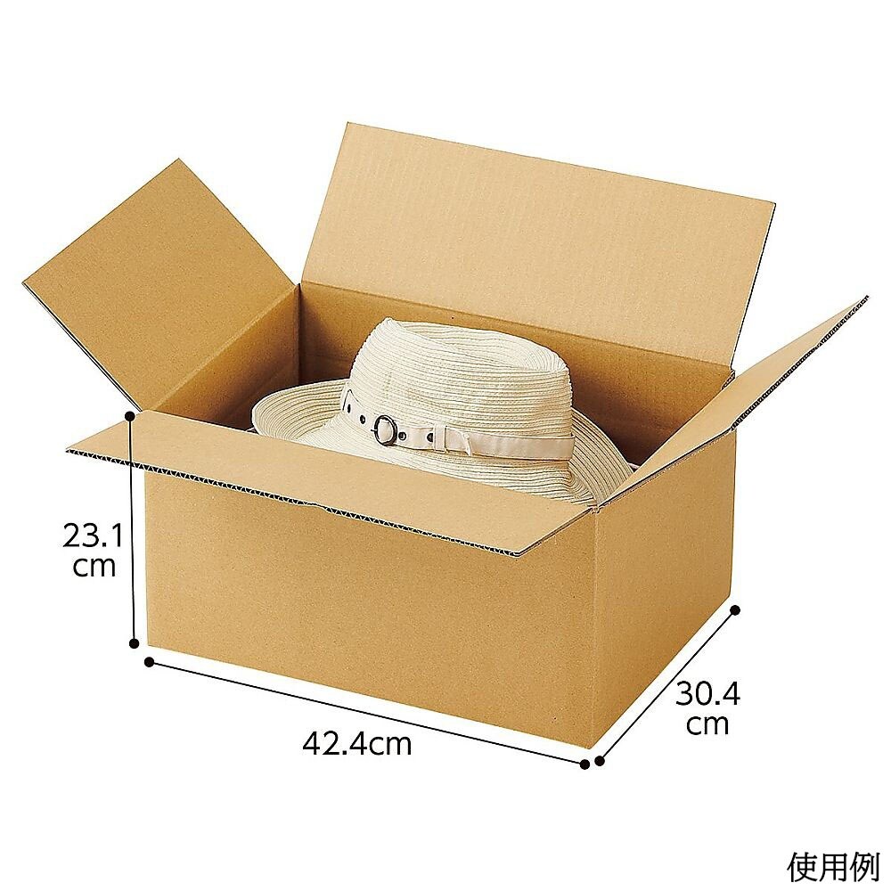 ダンボールケース 42.4×30.4×2