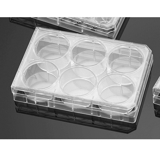 ノントリートメントプレート 6ウェル 平