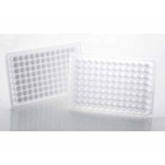 8582 フィルタープレート 10枚入