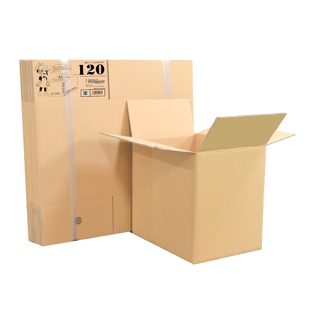 段ボール 120サイズ 20枚入 011