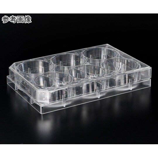 浮遊培養用マイクロプレート(表面処理なし