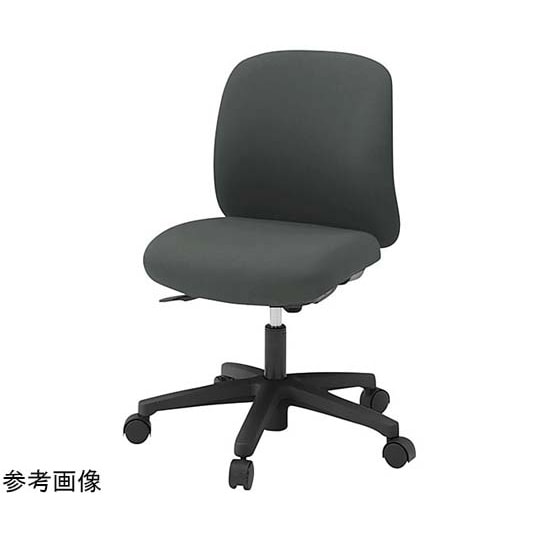 ボニートチェア 背裏 樹脂(白)張地:ス