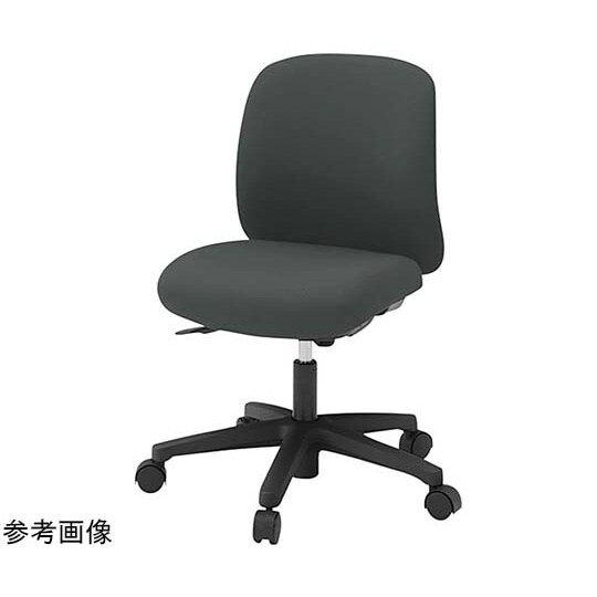 ボニートチェア 背裏 樹脂(黒)張地:ダ