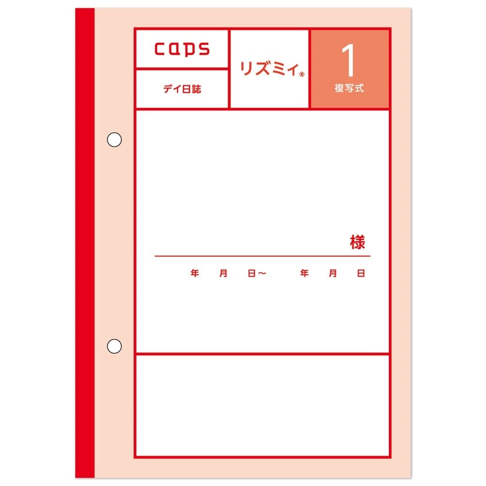 看護・介護記録用紙 リズミィ1 デイ日誌
