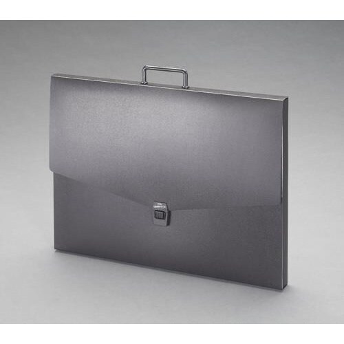 A2デザインケース EA762CF−255