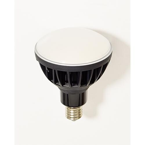 電球(黒) EA814DL−54