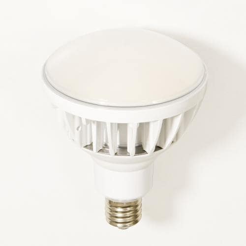 電球(白) EA814DL−55