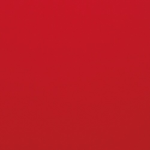 ラモスクリーン レッド 166cm用 交換布