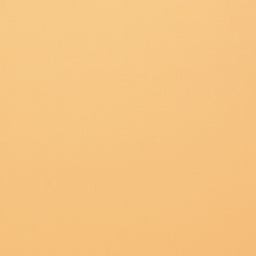 ラモスクリーン オレンジ 166cm用 交換布