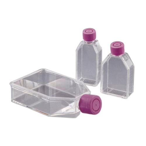 組織培養用フラスコ (IWAKI)3110