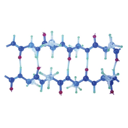 分子構造模型タンパク質セットIIIβシートPRT3