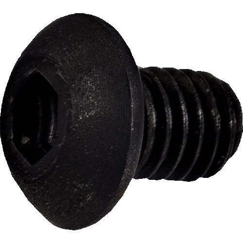 サンドビック スクリュー(810)