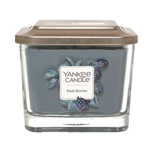 YCエレベーションジャーM ダークベリーズ