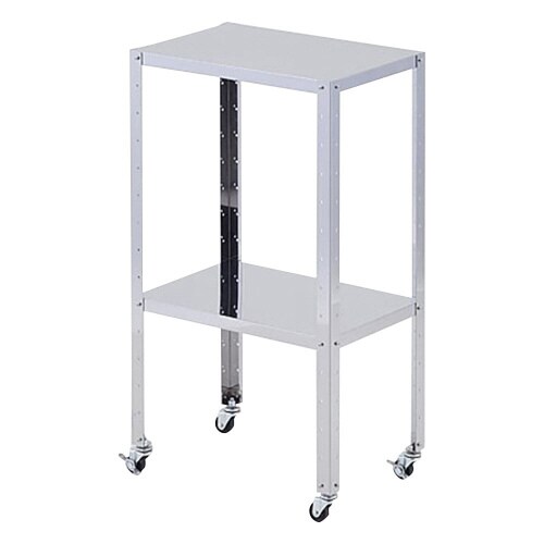 ステンレスワゴン(組立済) レギュラー2段