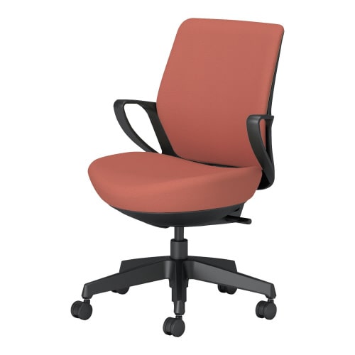 チェアー ピコラリビナ ローバック