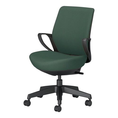 チェアー ピコラリビナ ローバック