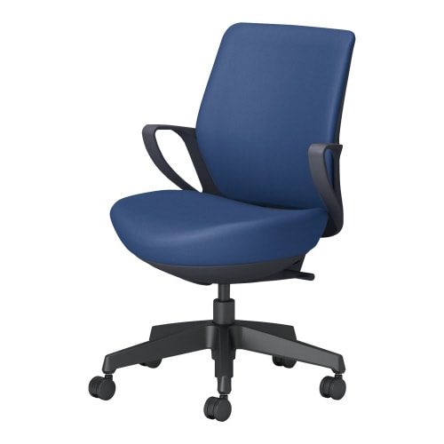 チェアー ピコラリビナ ローバック