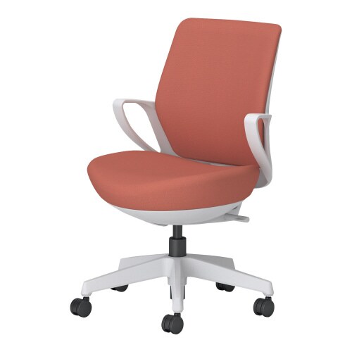 チェアー ピコラリビナ ローバック