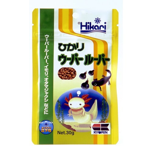 ひかりウーパールーパー