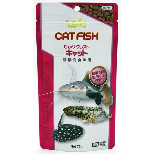 ひかりクレストキャット