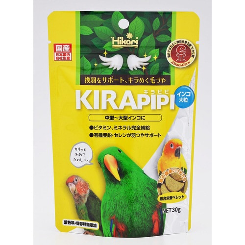 キラピピインコ大粒