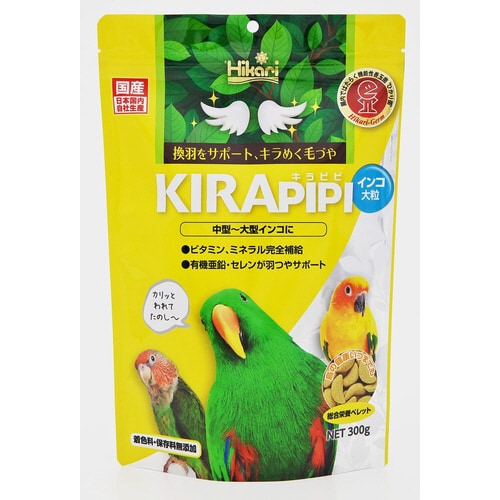キラピピインコ大粒