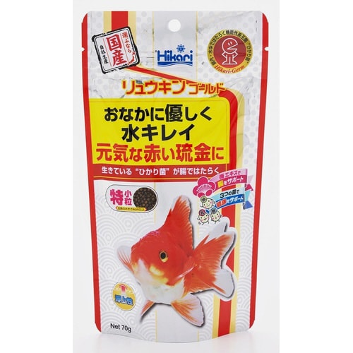 リュウキンゴールド