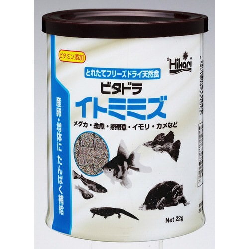 ビタドライトミミズ