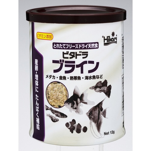 ビタドラブライン