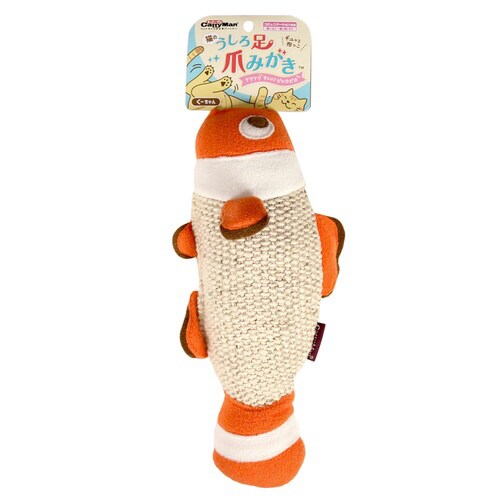 猫のうしろ足爪みがき くーちゃん