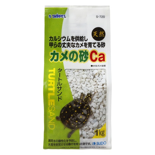カメの砂Ca