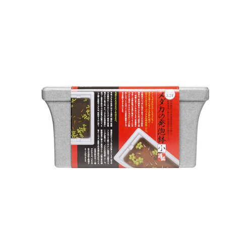 メダカの発泡鉢 小