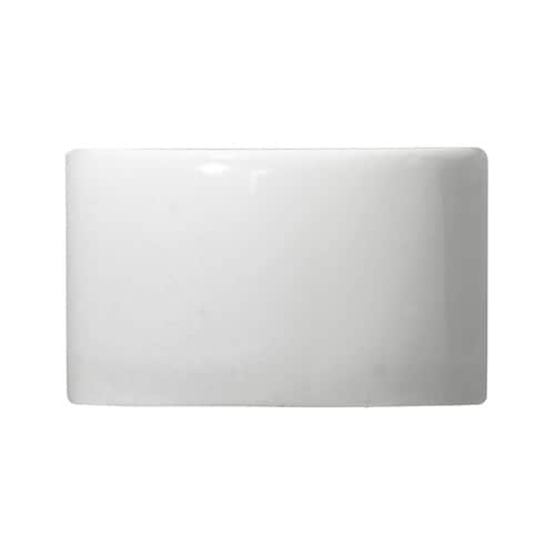 レプタイルカップ