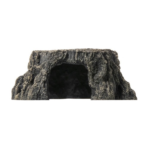 トンネル流木 切株