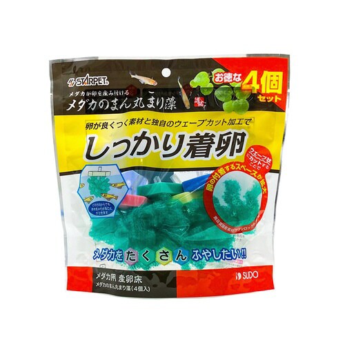 メダカのまん丸まり藻