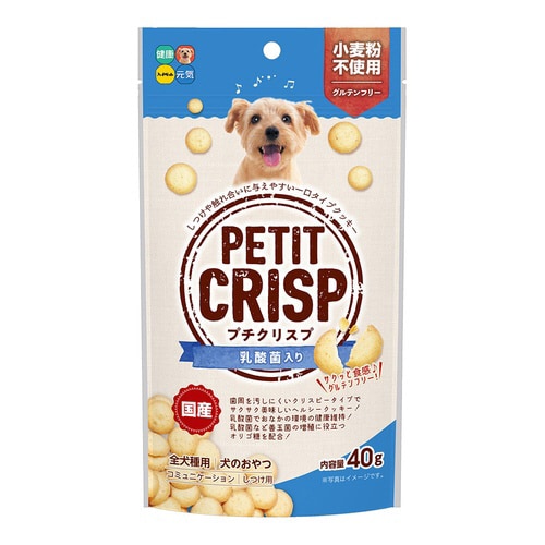 プチクリスプ 乳酸菌入り×36