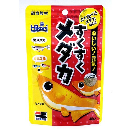 すくすくメダカ