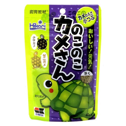 のこのこカメさん