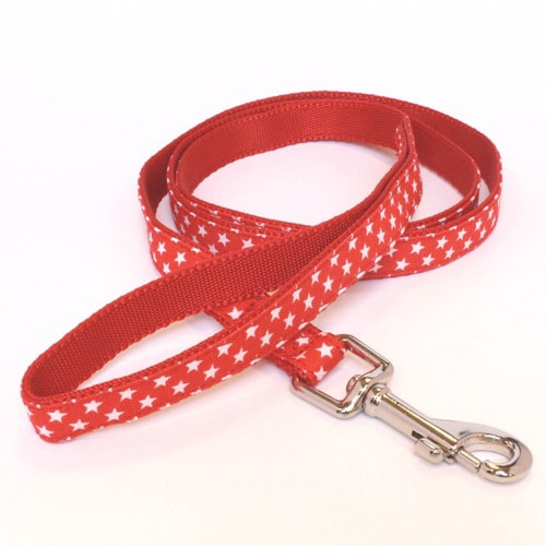 エルクラシックアイリードSS