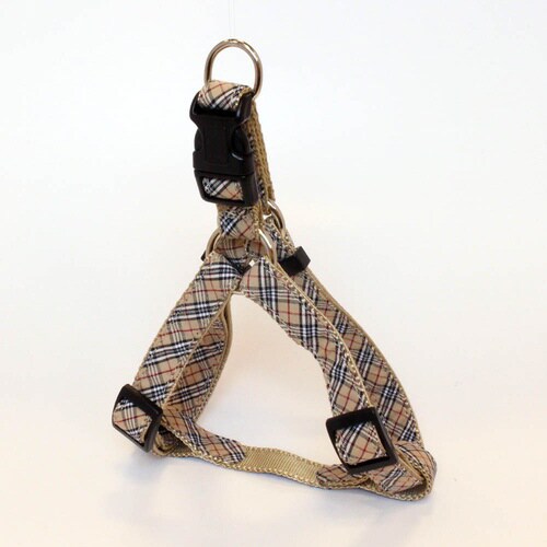 アールカンタンハーネスSチャ