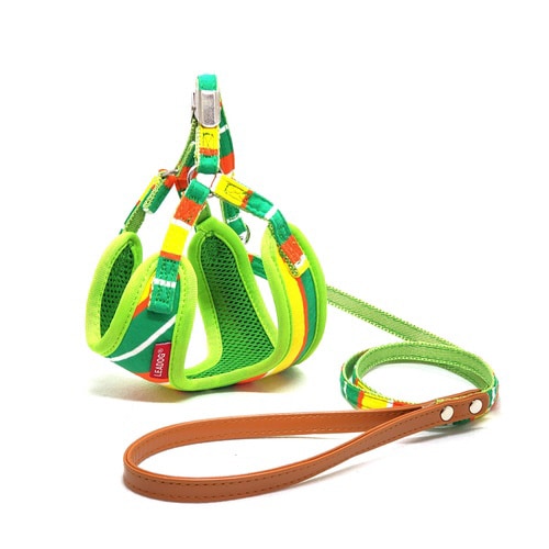 PBFH‐SS‐GR パステルボーダーフ