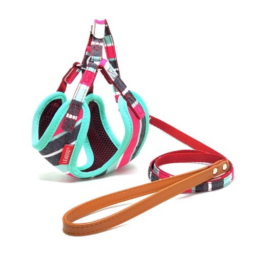 PBFH−SS−MI パステルボーダーフ