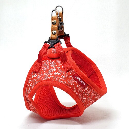 ペイズリーソフトハーネス