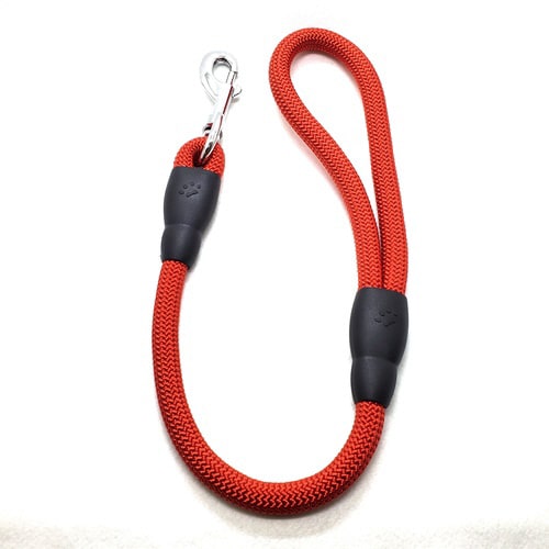 丸ショートリード12アカ