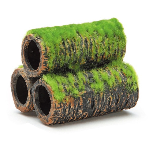 小さな和の庭 土管