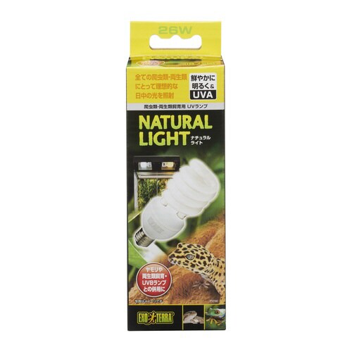 PT2191 ナチュラルライト