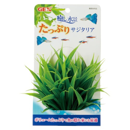 癒し水景たっぷりサジタリア