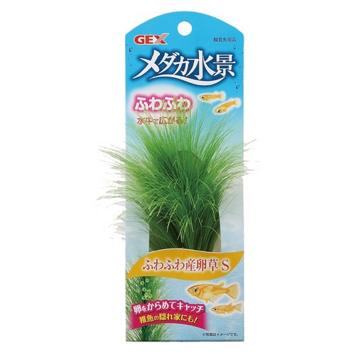 メダカ水景ふわふわ産卵草